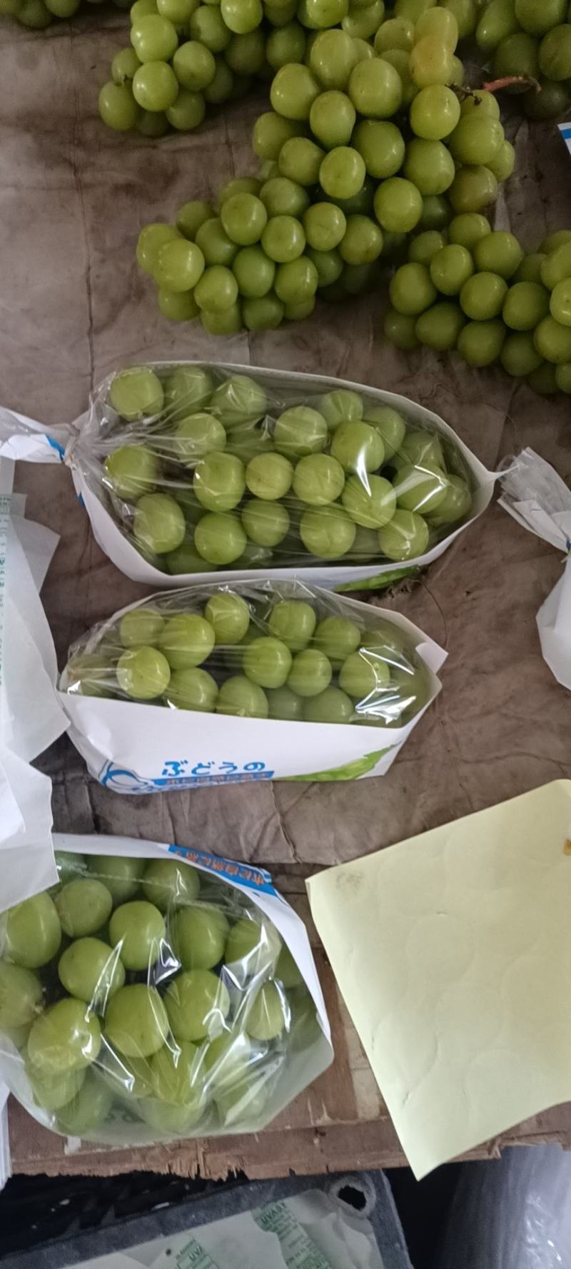 陕西精品阳光玫瑰葡萄，颗粒大，量大发全国，可视频看货