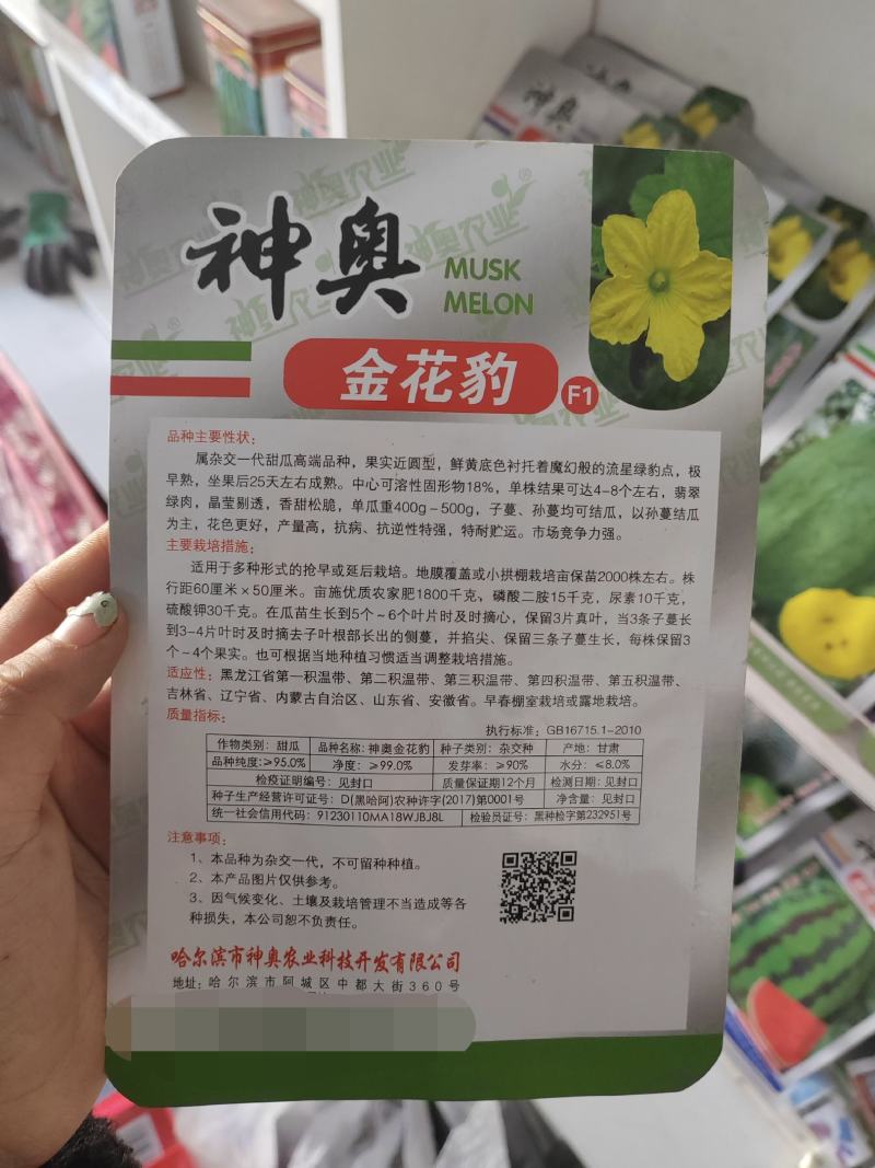 神奥金花豹甜瓜种子早熟抗病绿肉口感好产量高抗逆性强