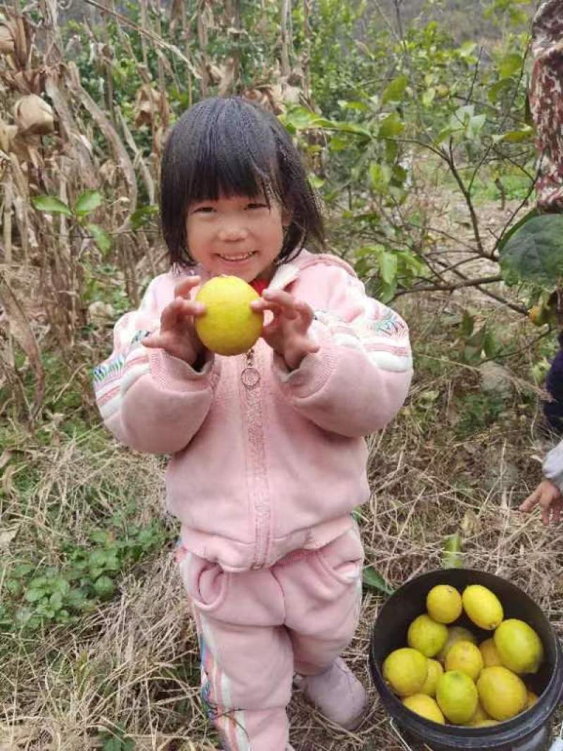 柠檬