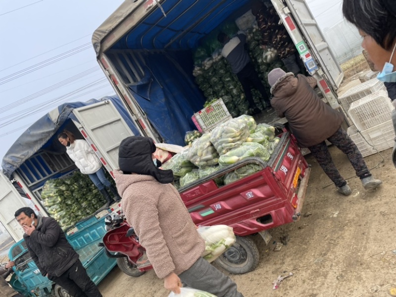口感好，条形好