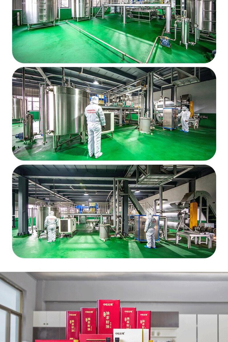 安徽安庆纯油茶籽油，厂家直发，货源充足，冷榨工艺