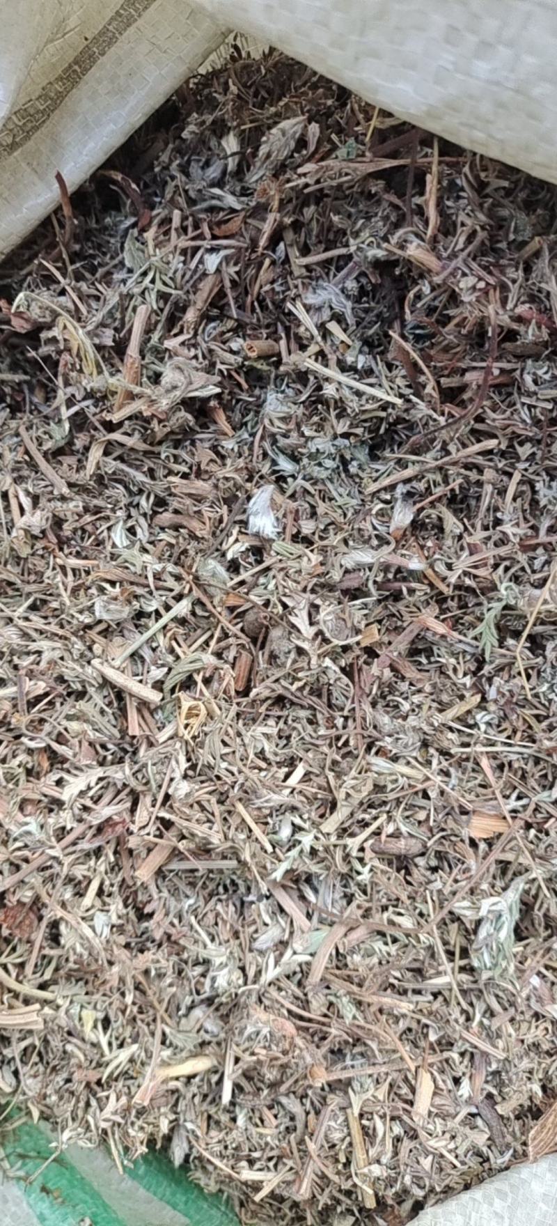 翻白草翻白草新货颜色好统产地河南省紫轩堂药业