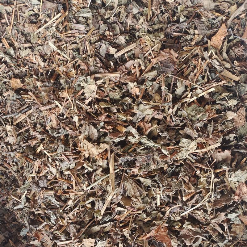 鱼腥草鱼腥草颜色好无虫蛀统段产地四川省