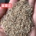 油麻熟白芝麻做芝麻酱磨香油及做食品用料