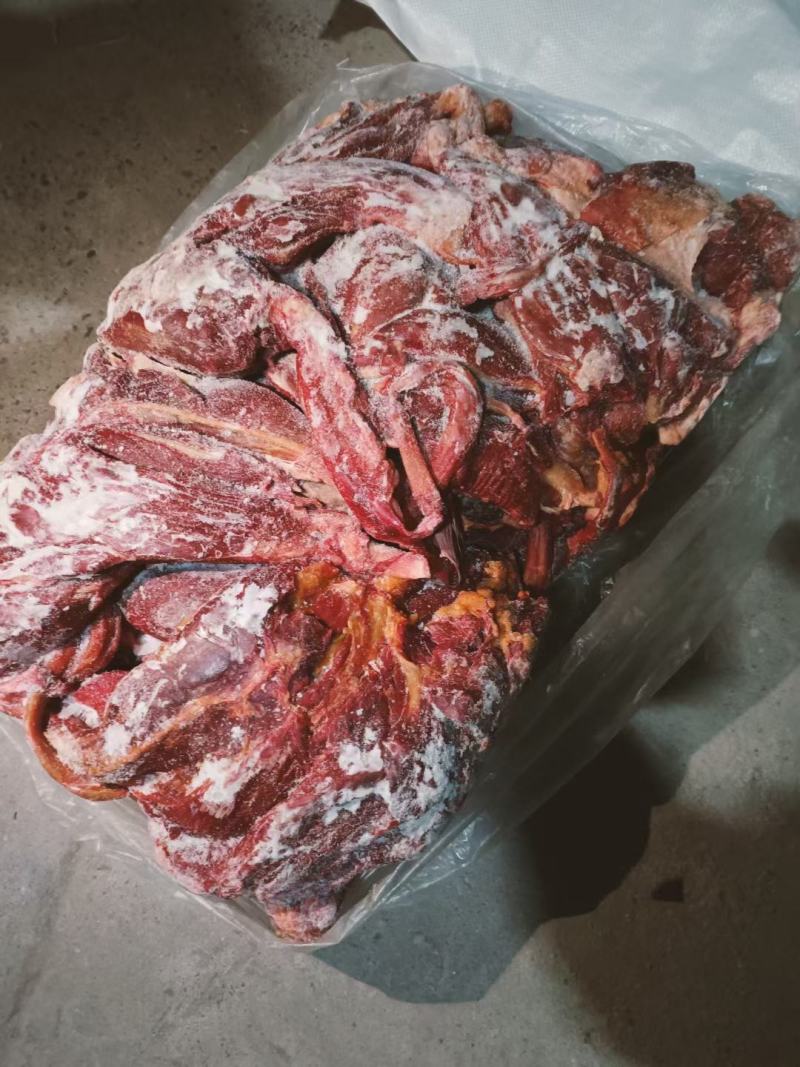 外蒙精修马肉腱子