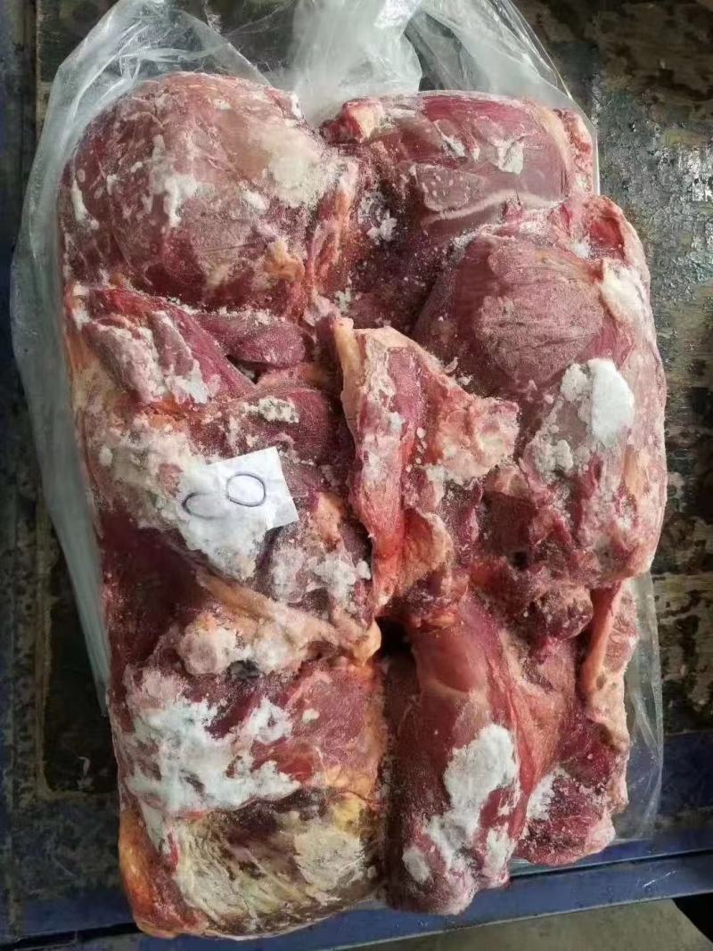 外蒙精修马肉腱子