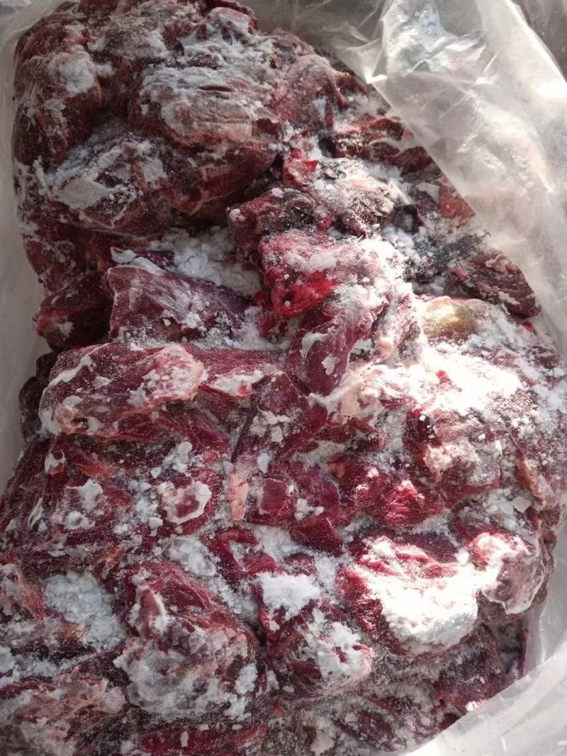 外蒙精修马肉腱子