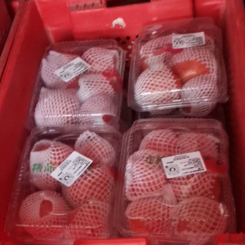 西红柿