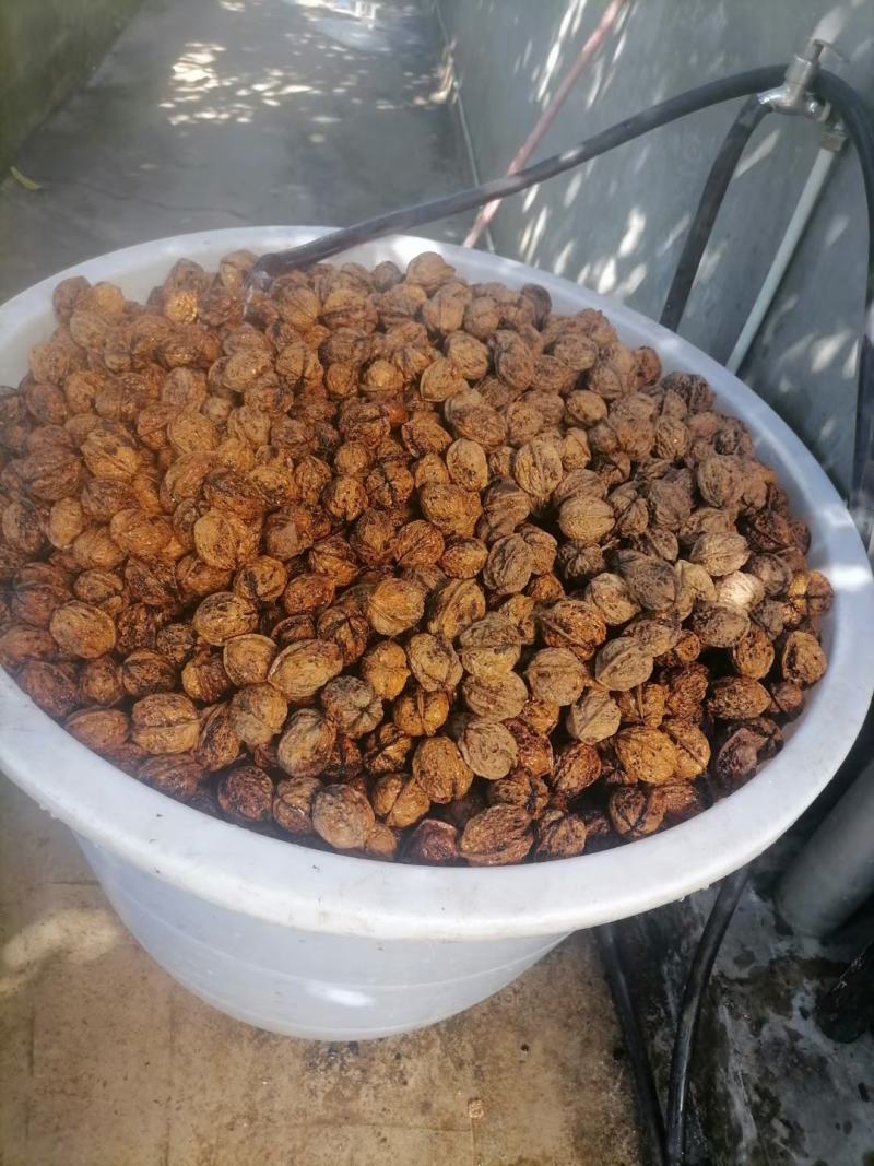 特香紫核桃仁