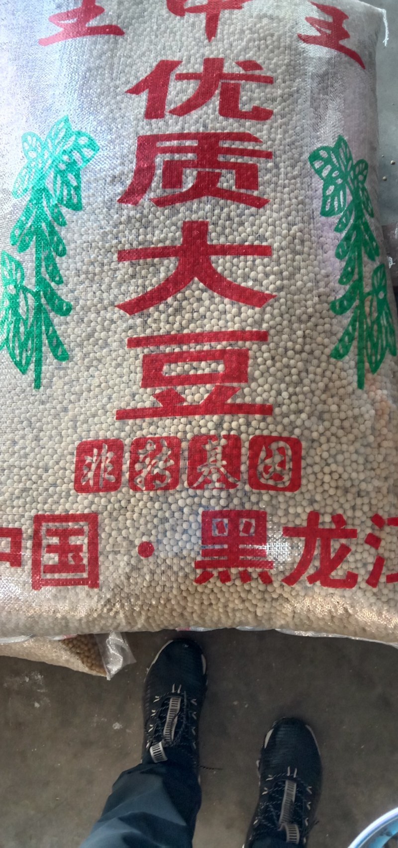 非转基因大豆四层塔选普通商品