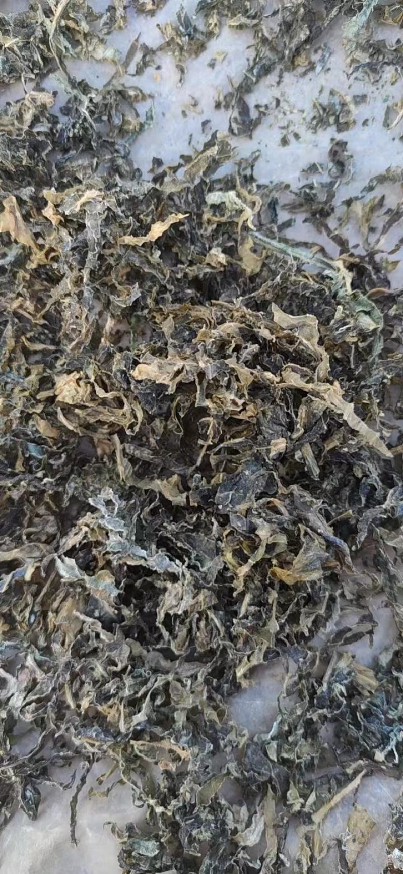 山东精品梅干菜产地直发品质保证一手货源量大从优