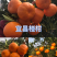 湖北柑桔宜昌椪柑芦柑产地直发，货源稳定，口感纯甜