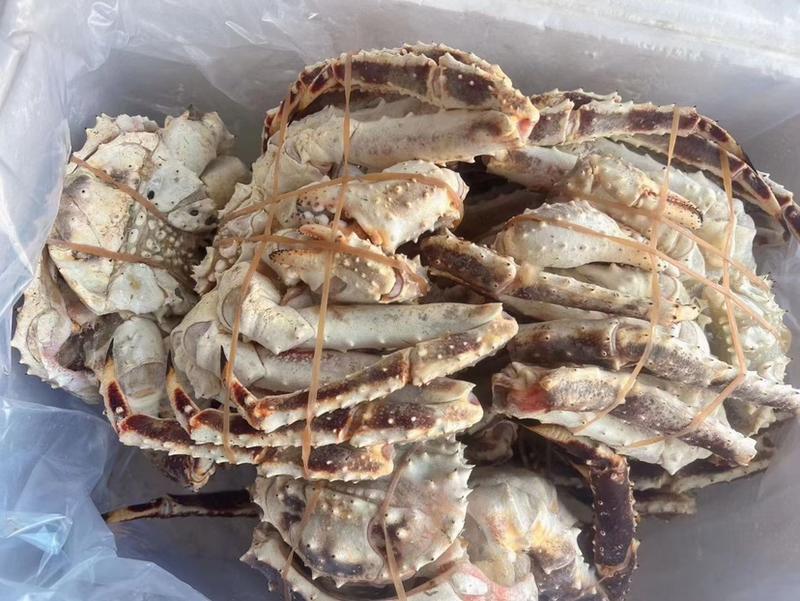 上海宝山江阳水产品帝王蟹，品质保证，量大从优欢迎采购