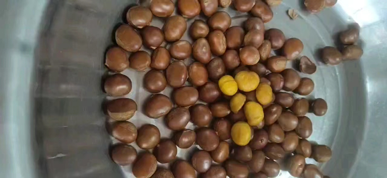 冰栗子成品图