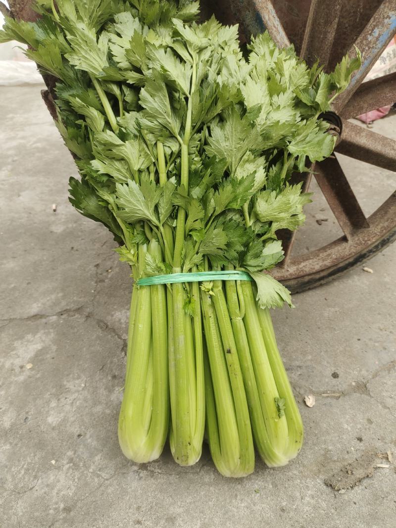 西芹