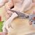 包邮强力厨房剪鸡骨剪食物剪刀家用剪多功能剪刀不锈钢厨房用