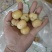 金灶冰甜油甘