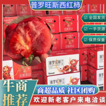普罗旺斯西红柿，产地普罗旺斯番茄，整车代发。