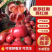 海阳市普罗旺斯口感西红柿番茄沙瓤