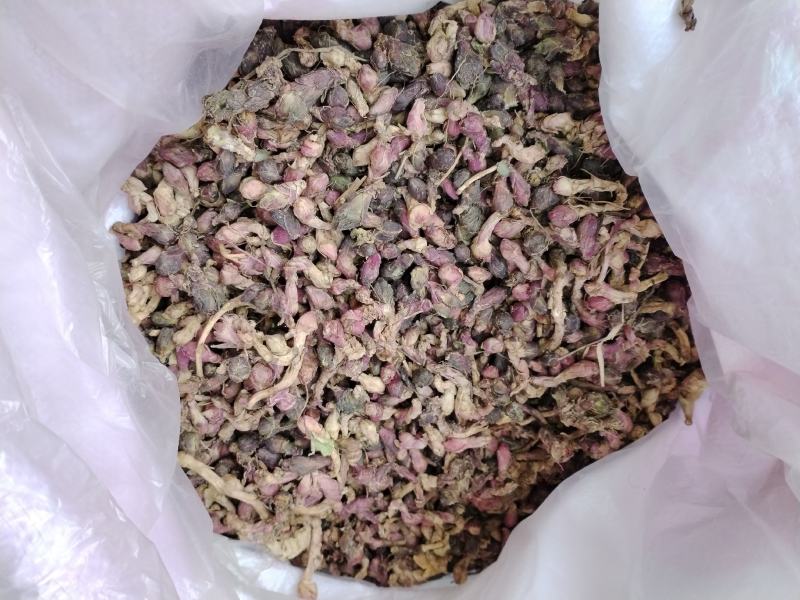 款冬花