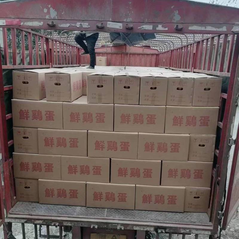 红壳蛋规模场，鸡场直装直发，可电议