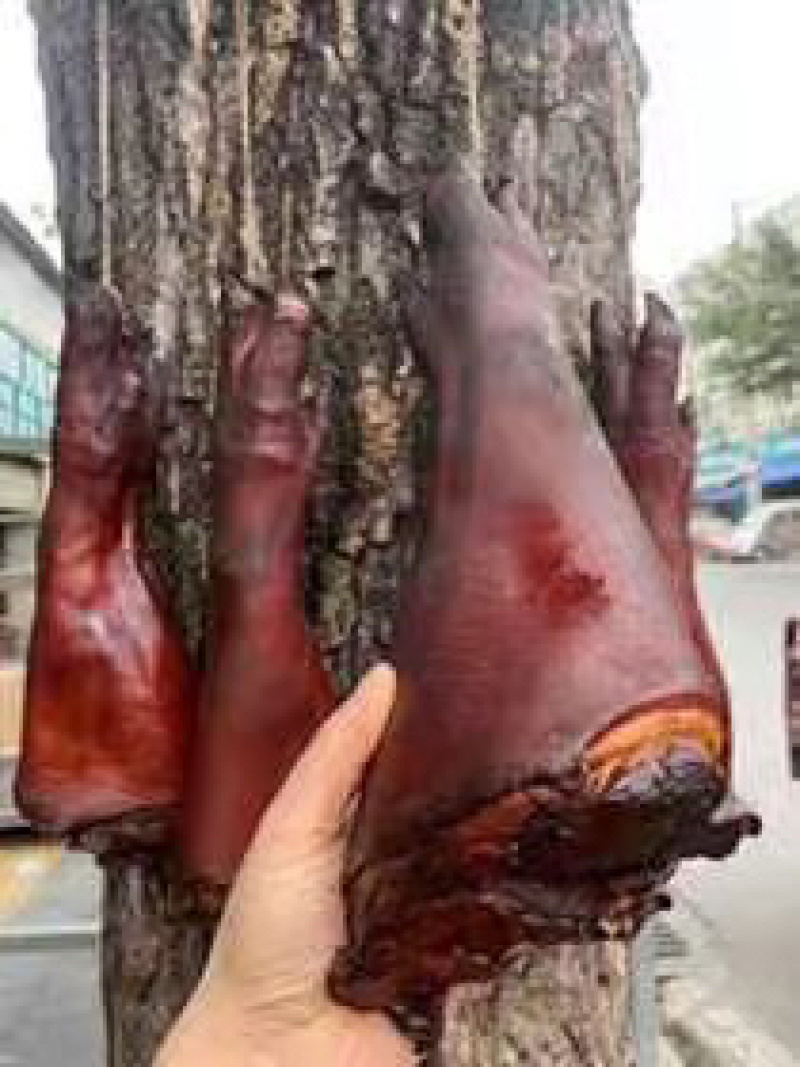烟熏整只腊猪脚（一手工厂地摊新模式餐饮净菜食品供应
