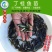 【2023新苗】丁桂鱼鱼苗欧洲丁鱥鱼苗丁桂鱼水花供应