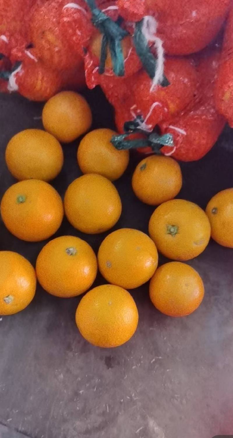 冰糖橙，麻阳冰糖橙，大量现货供应，口感好，质量好，