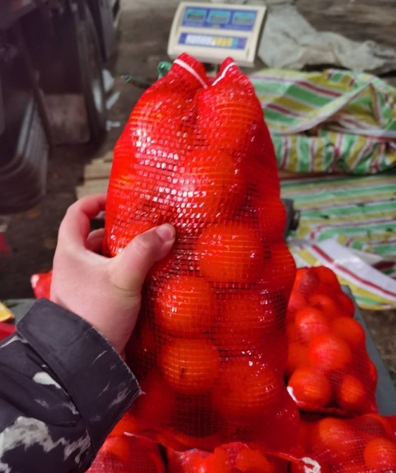 冰糖橙，麻阳冰糖橙，大量现货供应，口感好，质量好，