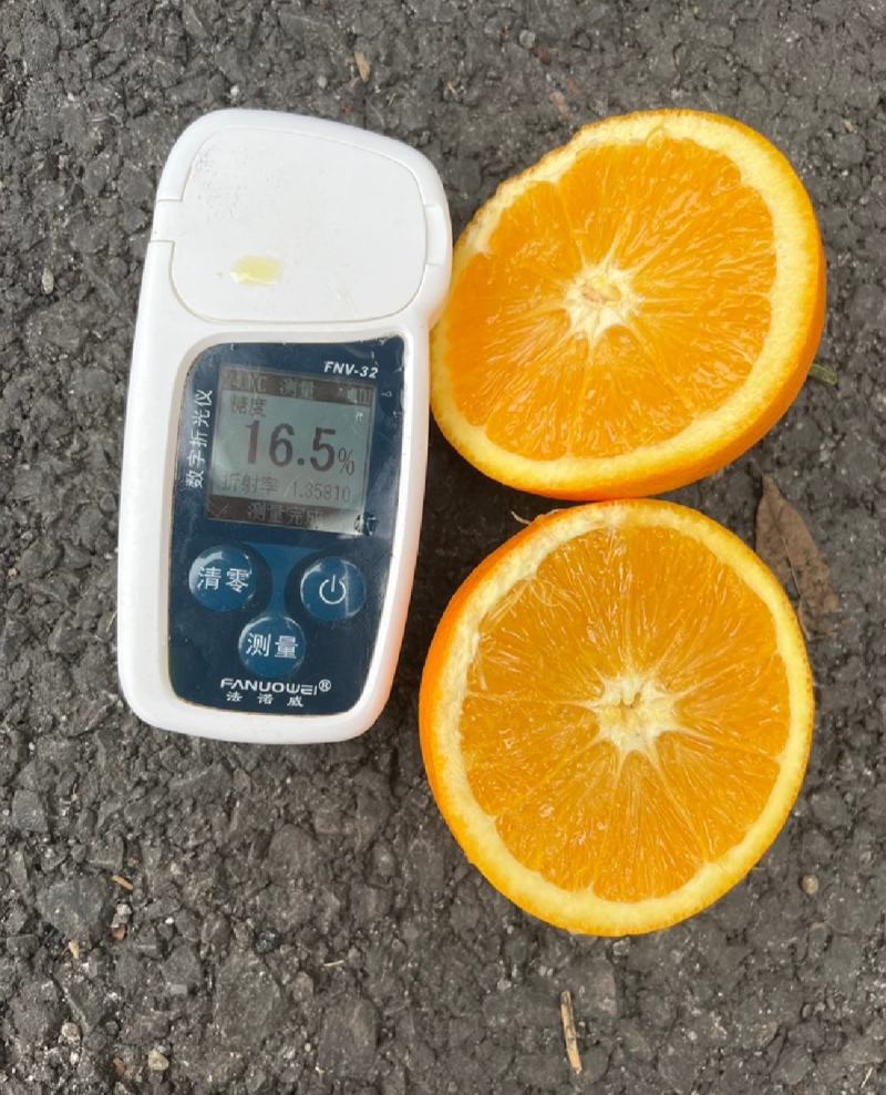 【诚信】脐橙，纽荷尔脐橙，质量好，口感纯甜。量大从优