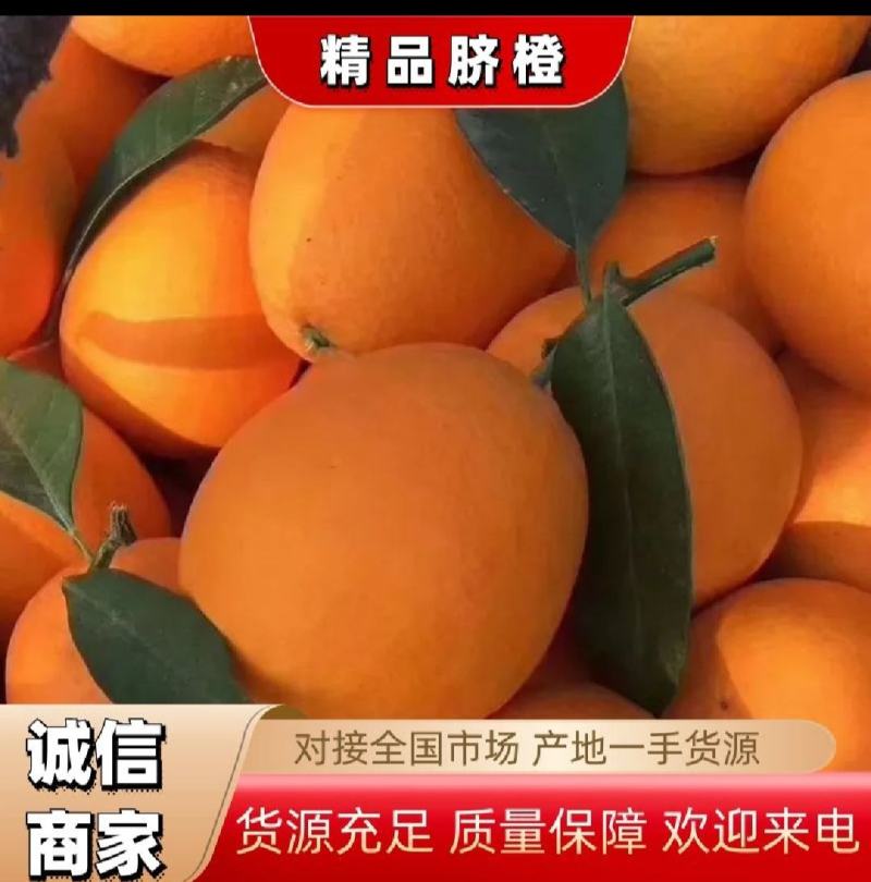 【诚信】脐橙，纽荷尔脐橙，质量好，口感纯甜。量大从优