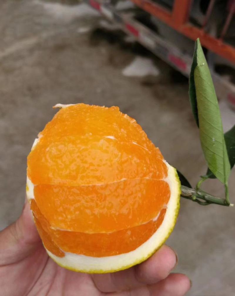 【诚信】脐橙，纽荷尔脐橙，质量好，口感纯甜。量大从优