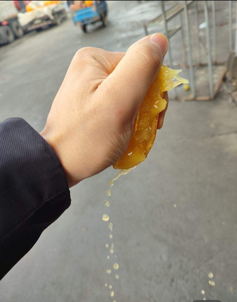 【诚信】脐橙，纽荷尔脐橙，质量好，口感纯甜。量大从优