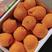 福建红肉脐橙精品血橙大量供货产地直供量大从优对接全国