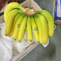香蕉口感糯甜无黑心硬心