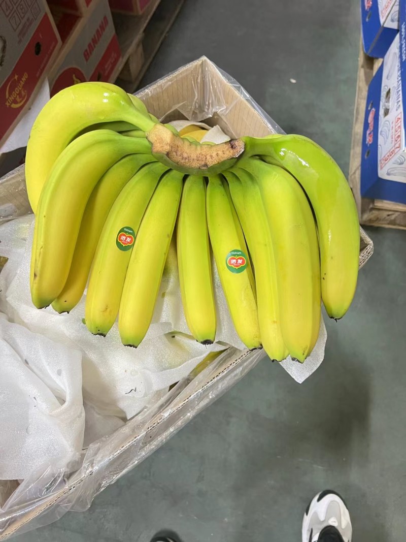 香蕉口感糯甜无黑心硬心