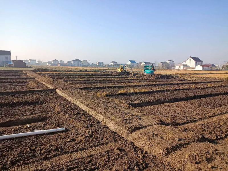 黑斑蛙青蛙养殖场基地加盟合作达成合作一对一技术支持