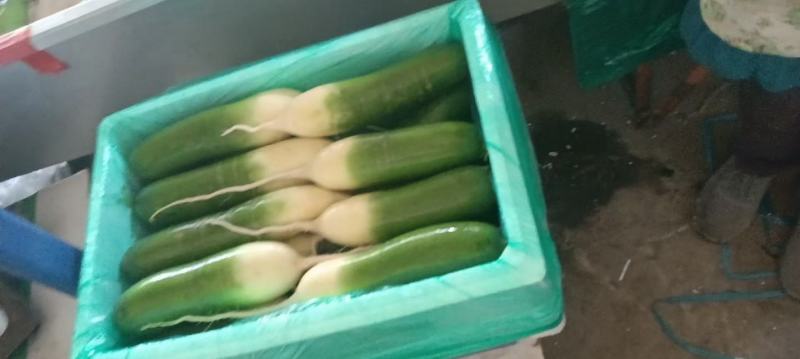 莱西精品水果罗卜，库存量大，适合电商，市场批发及另售，