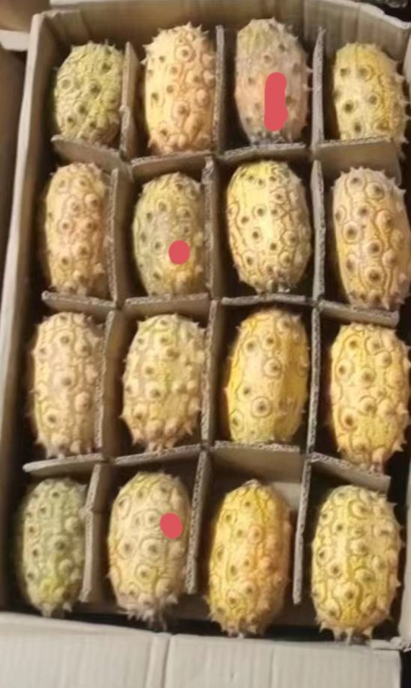 火参果.