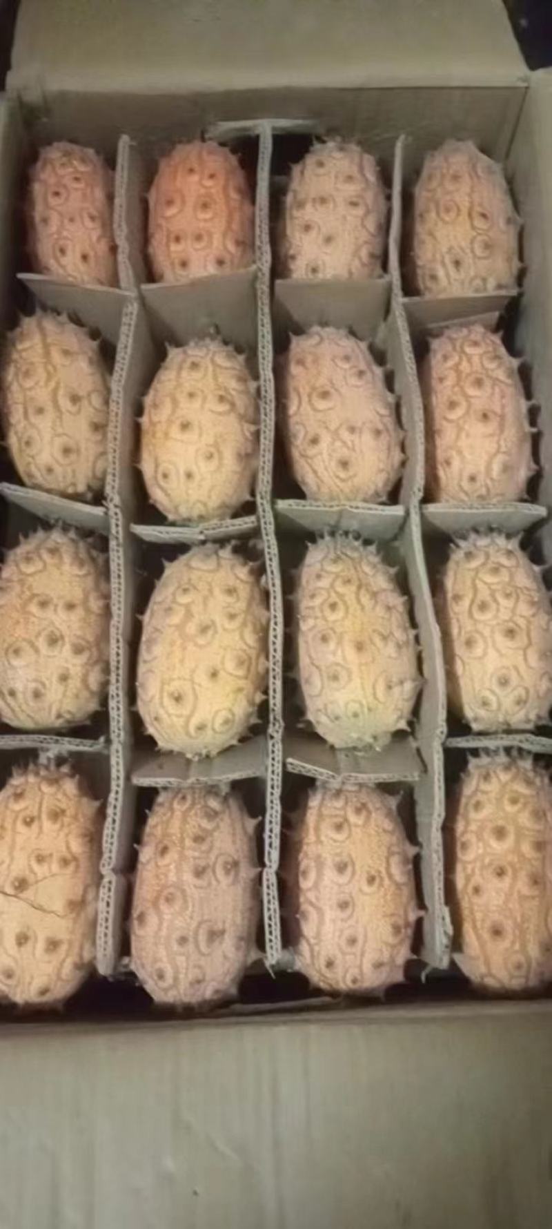 火参果.
