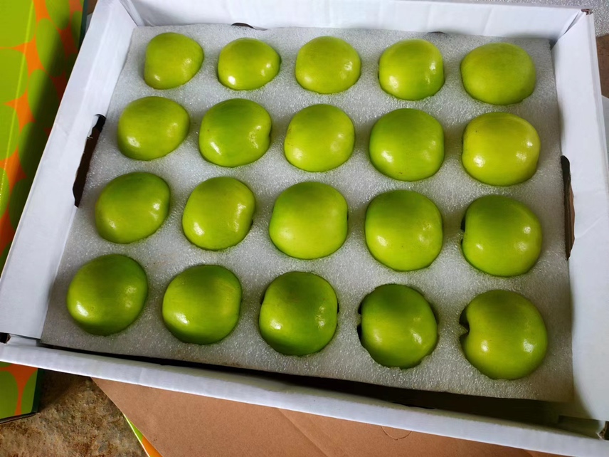 羊奶枣搭配酸奶食用,健康又美味 羊奶枣搭配酸奶