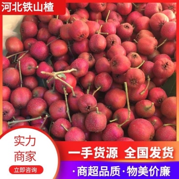 【推荐】河北铁山楂一手货源对接各大商超市场档口社区团购