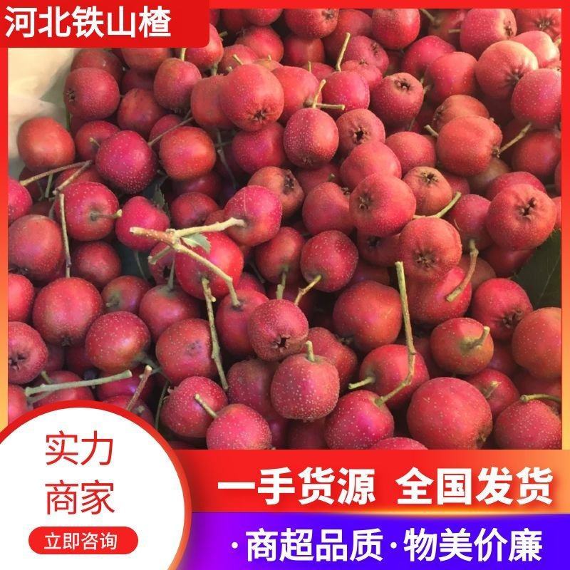 【推荐】河北铁山楂一手货源对接各大商超市场档口社区团购