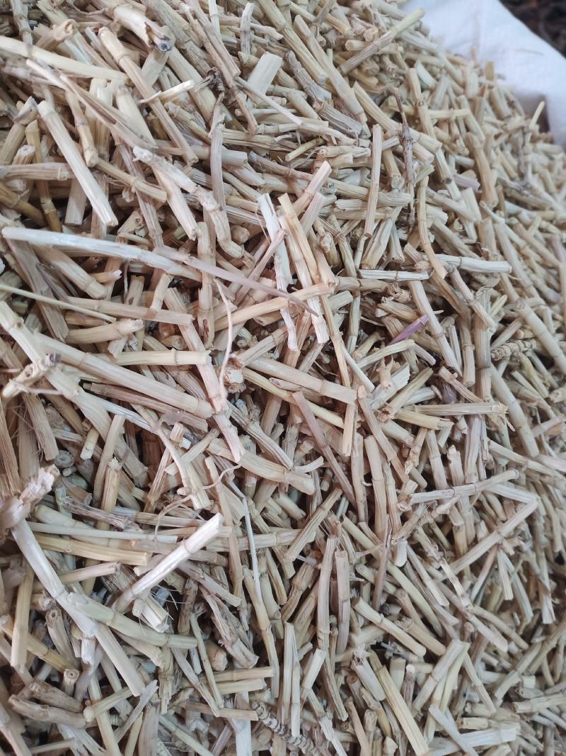 白毛根