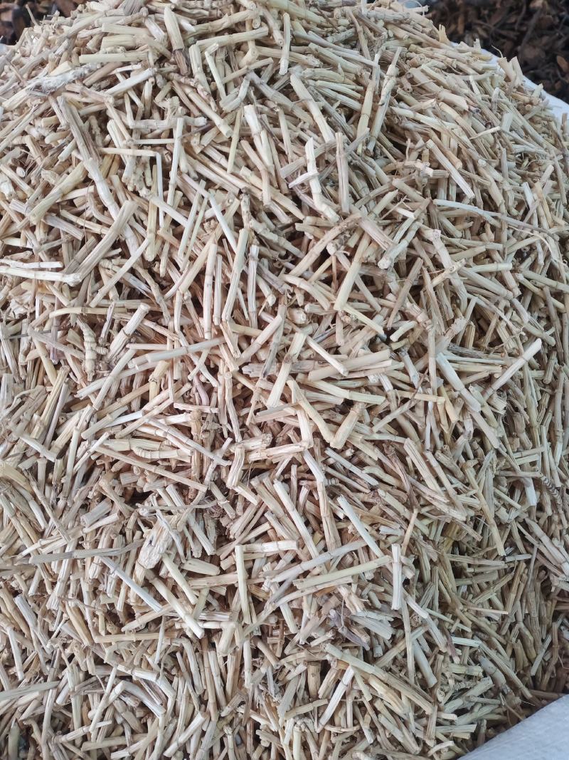 白毛根