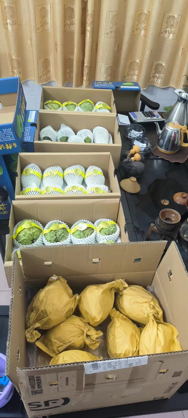 台湾老树凤梨释迦，位于广州增城宁西