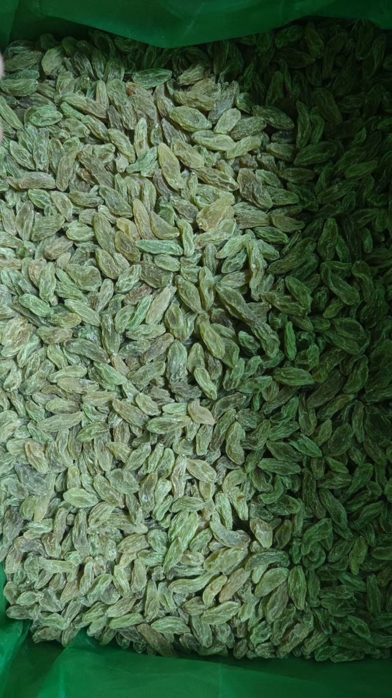 新疆葡萄干绿香妃北京王免洗无核，干度好颗粒饱满均匀！