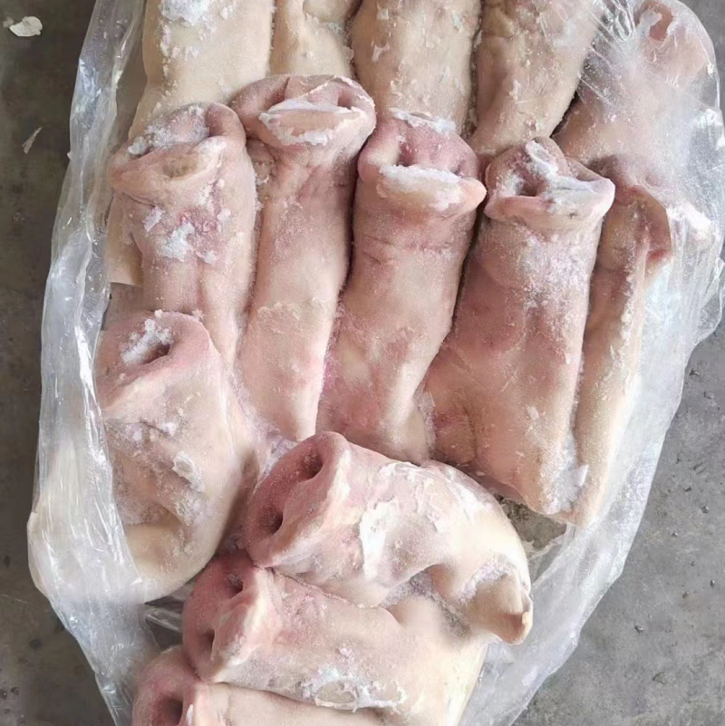 拱嘴