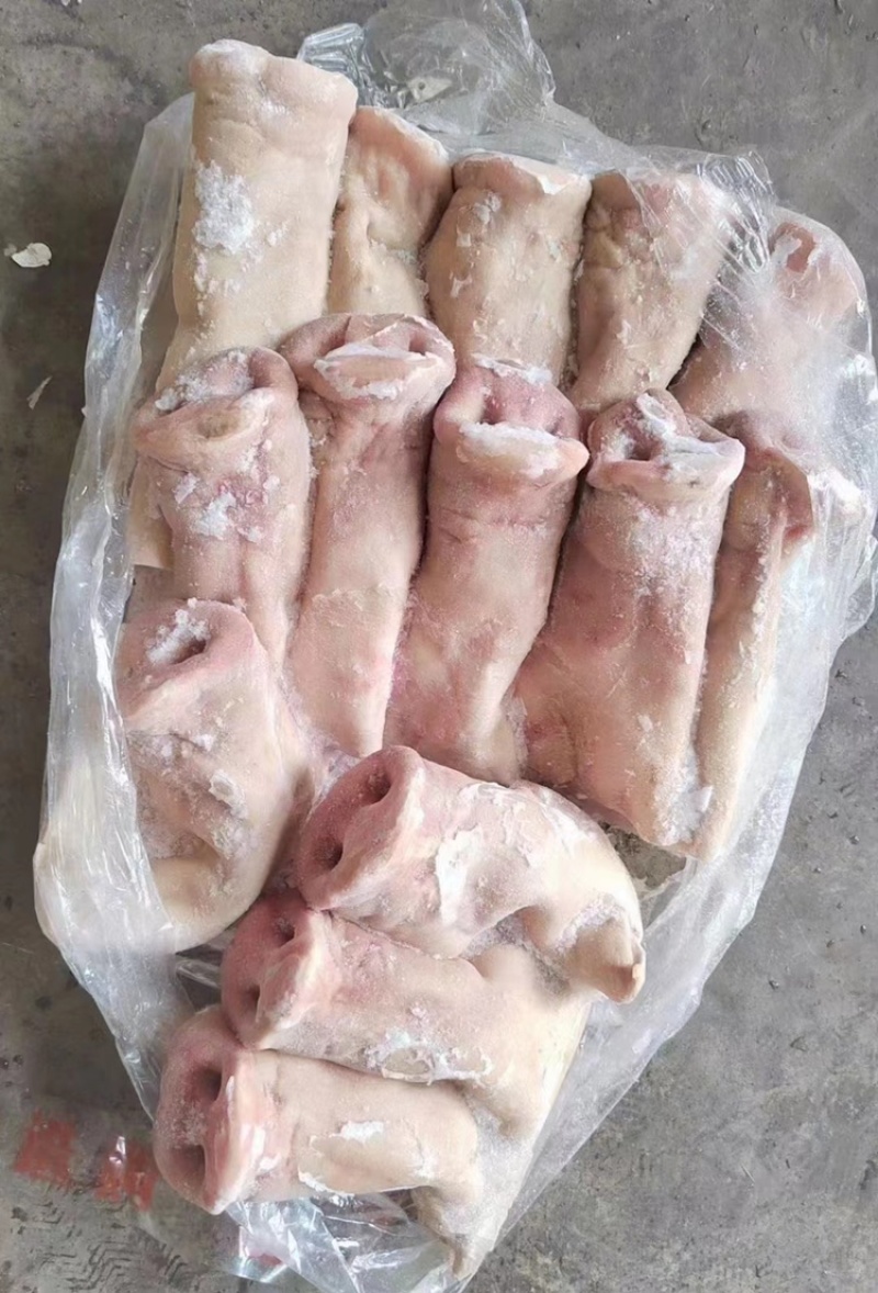 拱嘴