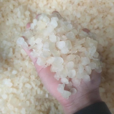 贵州皂角米，单夹，小籽大量有货，品质保证欢迎订购